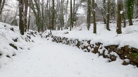 Hiking on a path in the winter forest Stock Footage 146339931