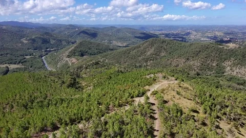 Hiking paths surrounded by pine trees near Mornese, Piedmont, Italy Stock Footage 316029461