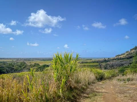 Hiking paths through fields of sugar cane, Grand River South East, Mauritius Stock-Fotos