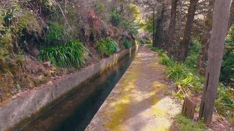 Hiking Pathway on the Levada Waterway Stock Footage 72003507