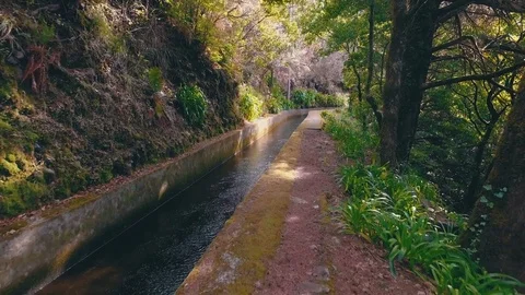 Hiking Pathway on the Levada Waterway Stock Footage 72003601