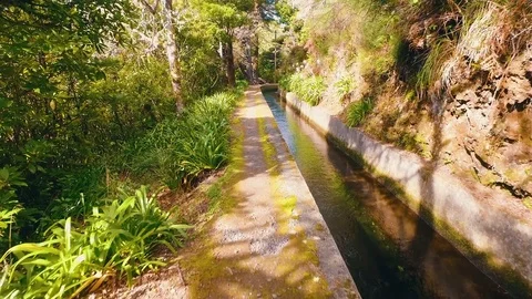Hiking Pathway on the Levada Waterway Stock Footage 72004120