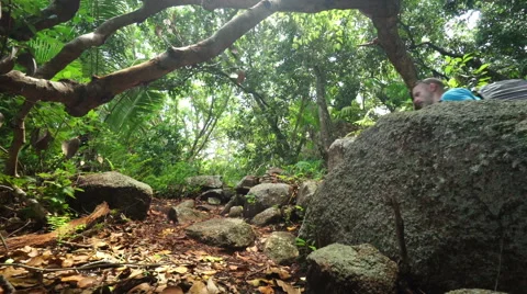 Hiking people in tropical forest Stock Footage 45542058