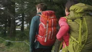 Hiking People Walking In Forest Wearing Backpacks Stock Footage