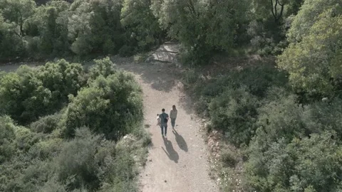 Hiking with pets in the mountains Video stock 239977459