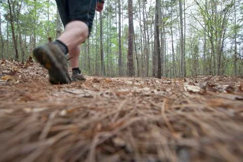 Hiking Stock Photos
