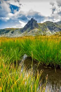 Hiking Stock Photos