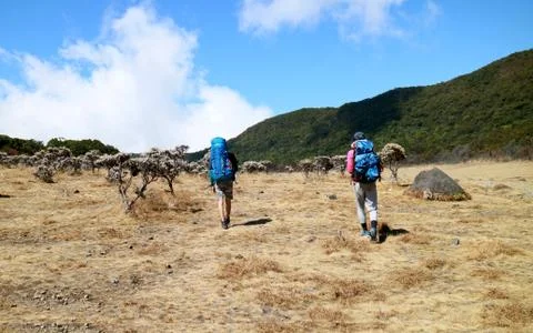 Hiking Stock Photos
