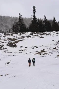 Hiking Stock Photos