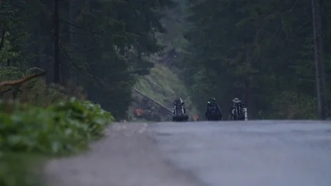 Hiking in Polish deep forest, Into the wild explore wilderness/ Fog pines Stock Footage 80914261