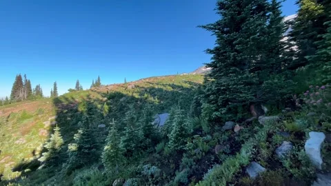 Hiking POV Up Stone Steps on Mount Rainier Skyline Trail Stock Footage 344815354