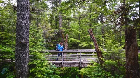 Hiking Rainforest in Alaska Stock-Footage 79737404