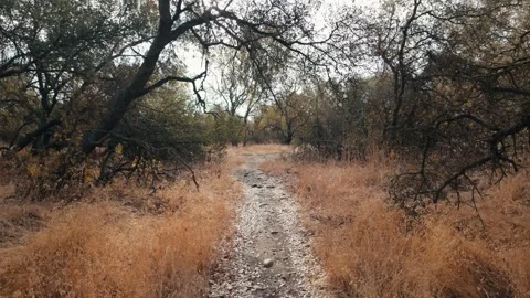Hiking in river bend park Stock Footage 290044913