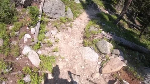 Hiking in Rockies 1 Stock-Footage 337006597