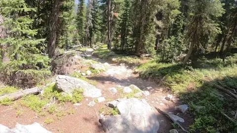 Hiking in Rockies 2 Stock-Footage 337006612