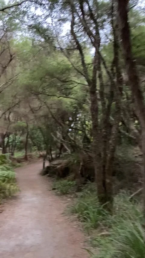 Hiking in Rotorua Видео 344122926
