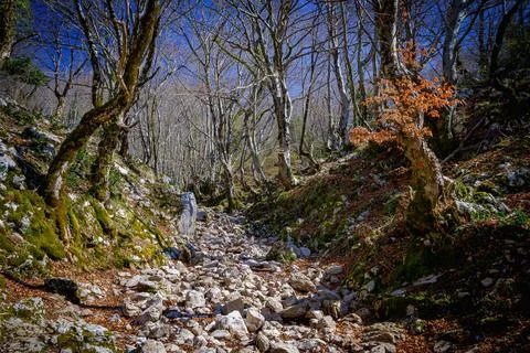 Hiking route 写真素材
