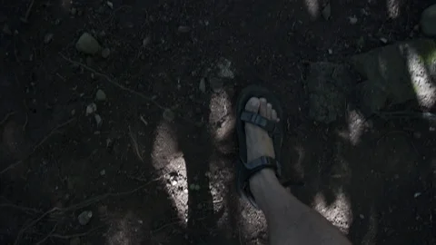 HIking with sandals in the forest Stock Footage 112655680