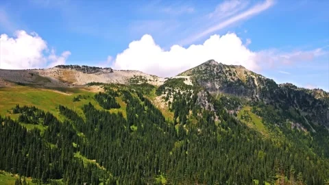 Hiking the Scenic Berkeley Park Trail in Mount Rainier National Park, Washington Video stock 332087589