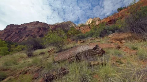 Hiking the Scenic Emerald Pools Trail in Zion National Park, Utah Stock Footage 331999612