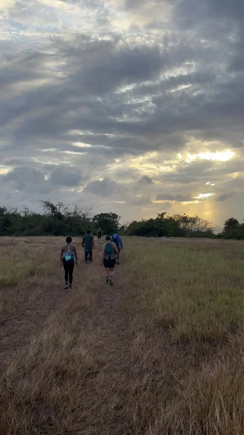 Hiking into the setting sun on West Coast Barbados Stock Footage 333651501