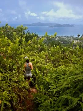 Hiking in the seychelles. Stock-Fotos
