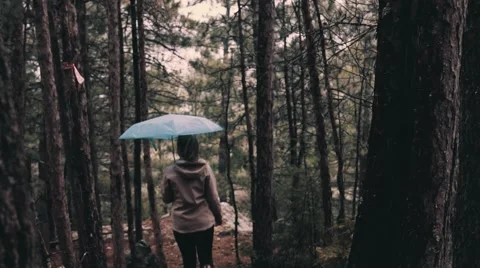 Hiking Slow Motion Stock Footage 63223778