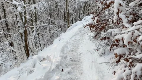 Hiking on a small mountain path in white winter forest Stock Footage 153161596