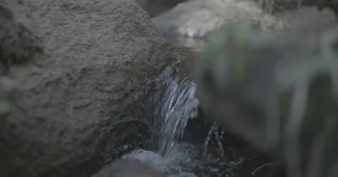 Hiking small stream Stock Footage 65138546