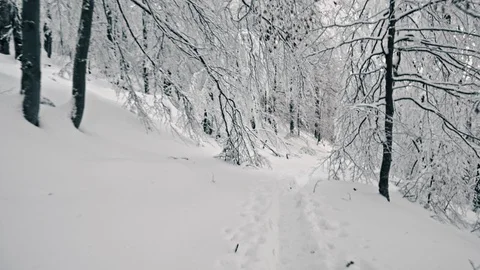 Hiking in the snow-covered mountains Stockbeeldmateriaal 100822274
