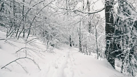 Hiking in the snow-covered mountains Stock Footage 100822662