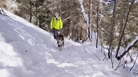 Hiking in the Snow Video stock 273813236