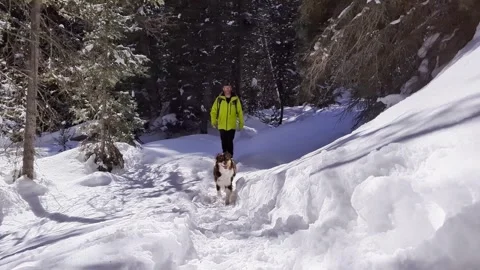 Hiking in the Snow Video stock 273813240