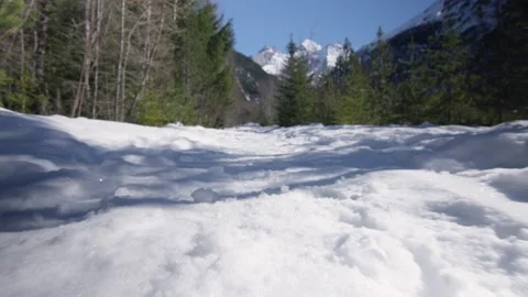 Hiking in the snow in the forest surrounded by mountains, Alps, Switzerland Stock Footage 240172288