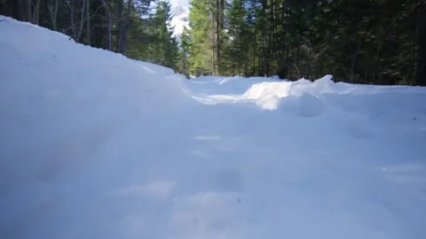 Hiking in the snow in the forest surrounded by mountains, Alps, Switzerland Stock Footage 240177310