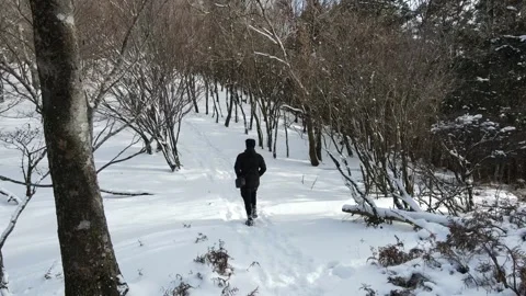 Hiking in snow mountain Stock Footage 265743461