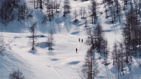 Hiking on the snowed forest. Stock Footage 127493395