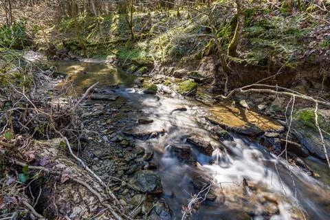 Hiking in spring through a forest in Upper Swabia Stock Photos