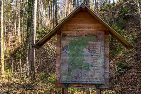 Hiking in spring through a forest in Upper Swabia Stock Photos