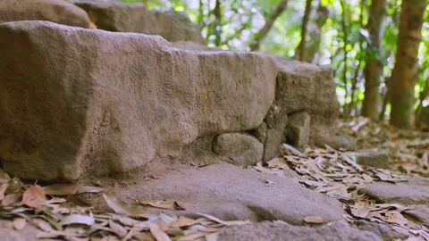 Hiking up stone steps in forest, close-up of sneaker Stock Footage 327576412