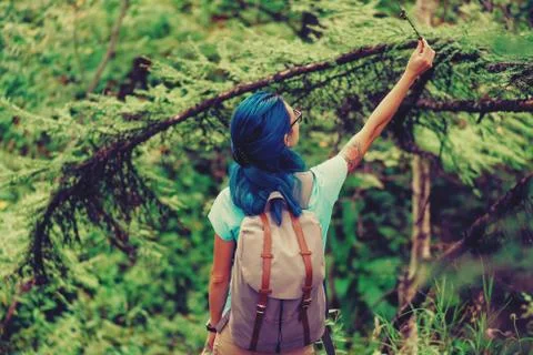 Hiking in summer forest Stock Photos