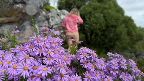 Hiking Table Mountain, Cape Town Stock Footage 277828922