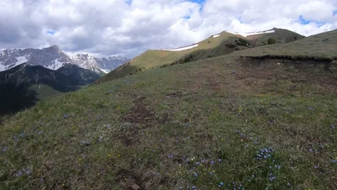 Hiking through the alpine meadows filled with wildflowers Stock Footage 148892523