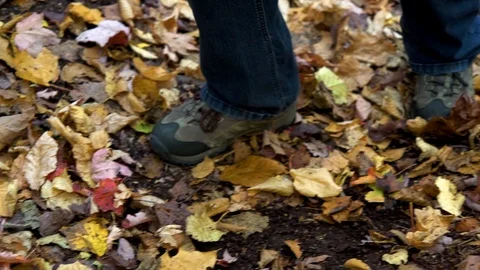 Hiking through the autumn forest 動画素材 118462902