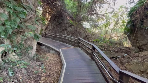 Hiking through coastal trail, motion shot, handheld, 4k. Stock Footage 270072880