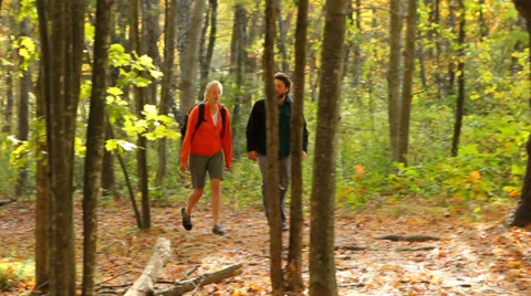 Hiking through colorful fall foliage, medium shot. Stock Footage 31850571
