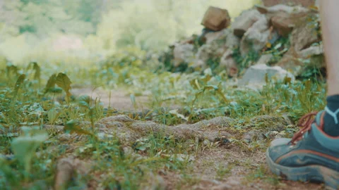 Hiking Through Forest 2 스톡 동영상 132266944