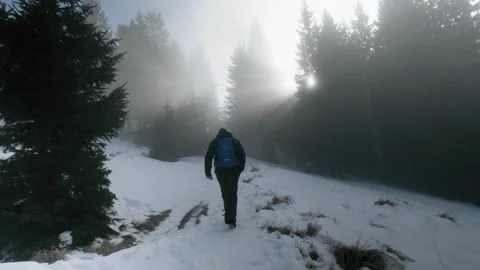 Hiking through the forest during winter 動画素材 167667376