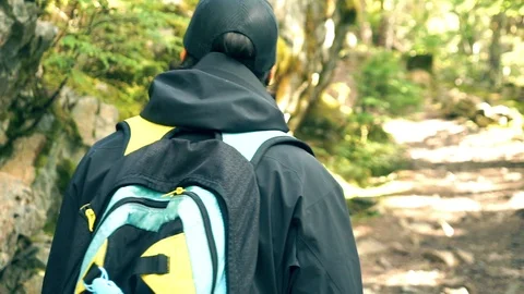 Hiking Through The Forest Stock Footage 120138755