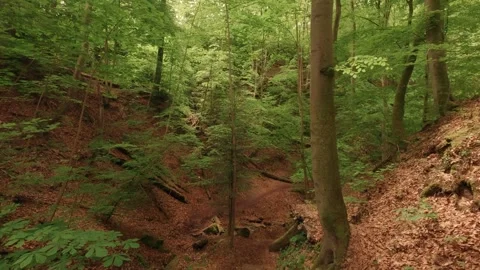 Hiking through a gorge with small waterfalls Stock Footage 335702865
